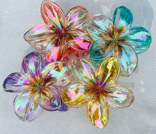 Kansi Glassy Hair Claws
